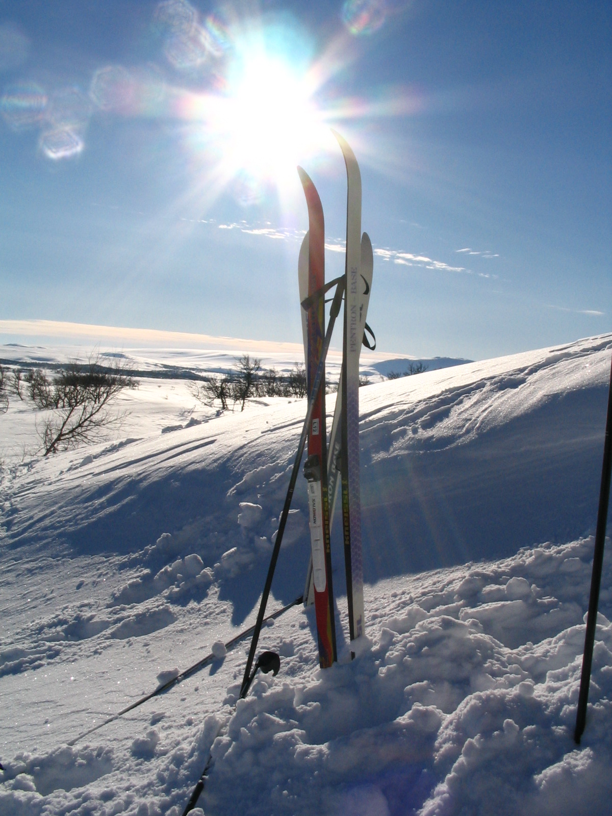 Ski Equipment 